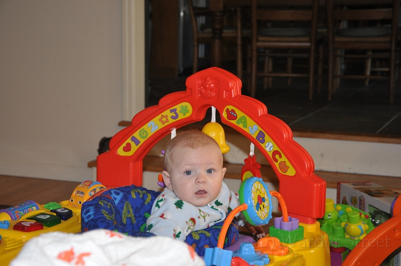 William's Twenty-Fourth Week 36.jpg